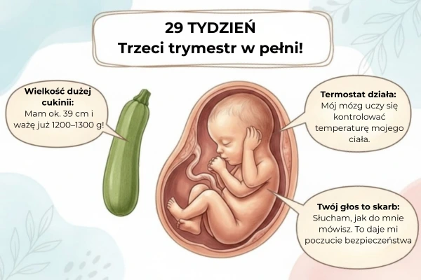 29 tydzień ciąży – rozwój dziecka